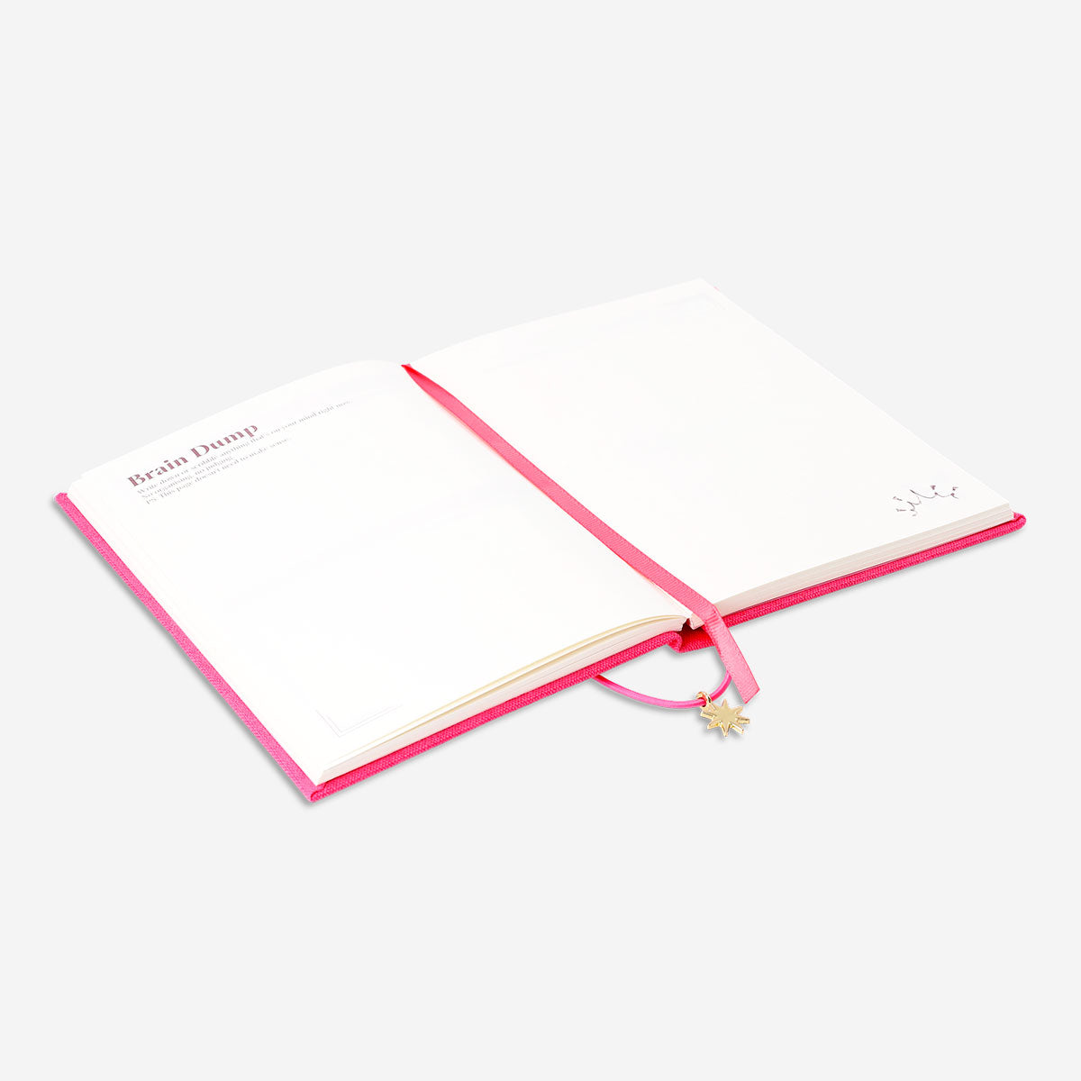 Flying Tiger Copenhagen reflection journal for office use, featuring a sleek cover and lined pages for personal or professional reflection.