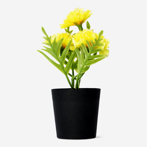 Decorative home plant with yellow flowers in a 15 cm pot, featuring vibrant blooms and lush green leaves, by Flying Tiger Copenhagen.