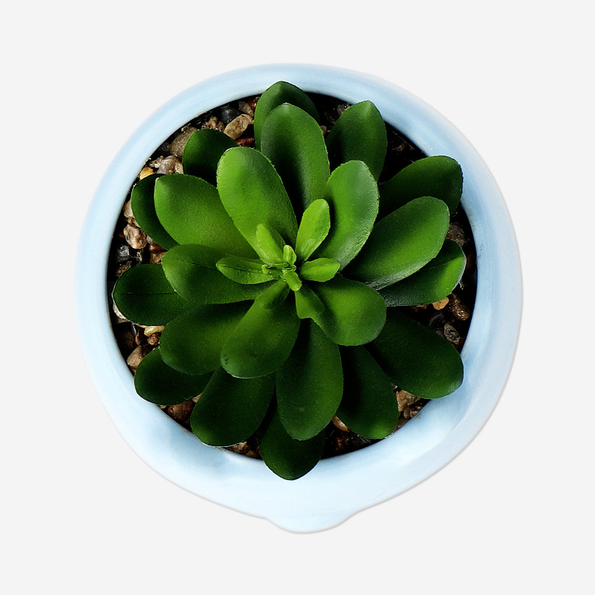 Suculenta de imitación en maceta de cerámica azul
