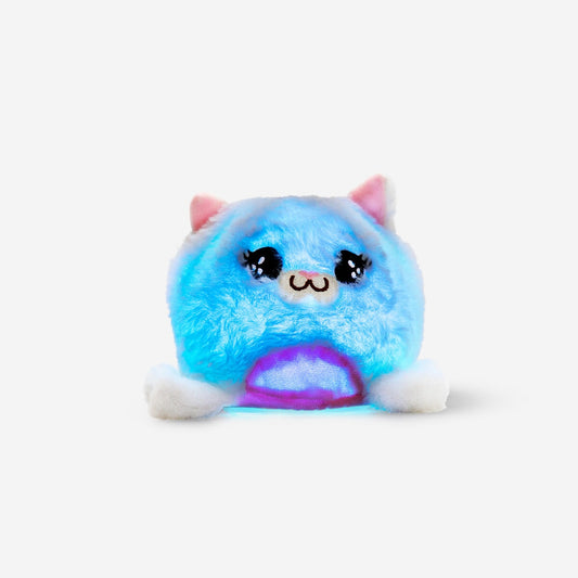 Clairvoyant cat with light