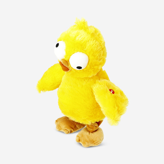 Crazy chicken who dances and sings