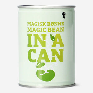 Flying Tiger Copenhagen magic bean gadget for growing your own magical bean plant at home.