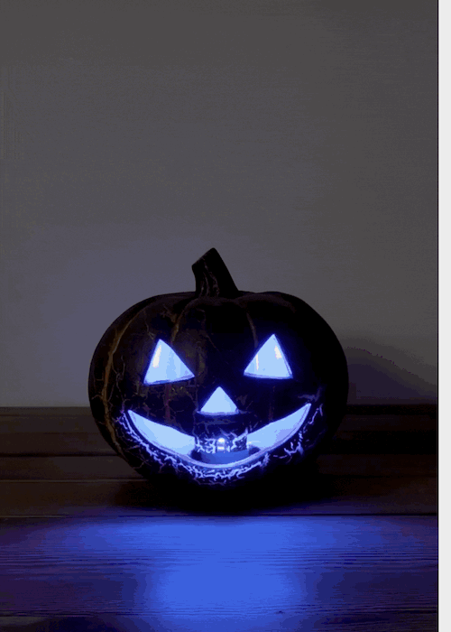 Zucca metallica luminosa - 22 cm