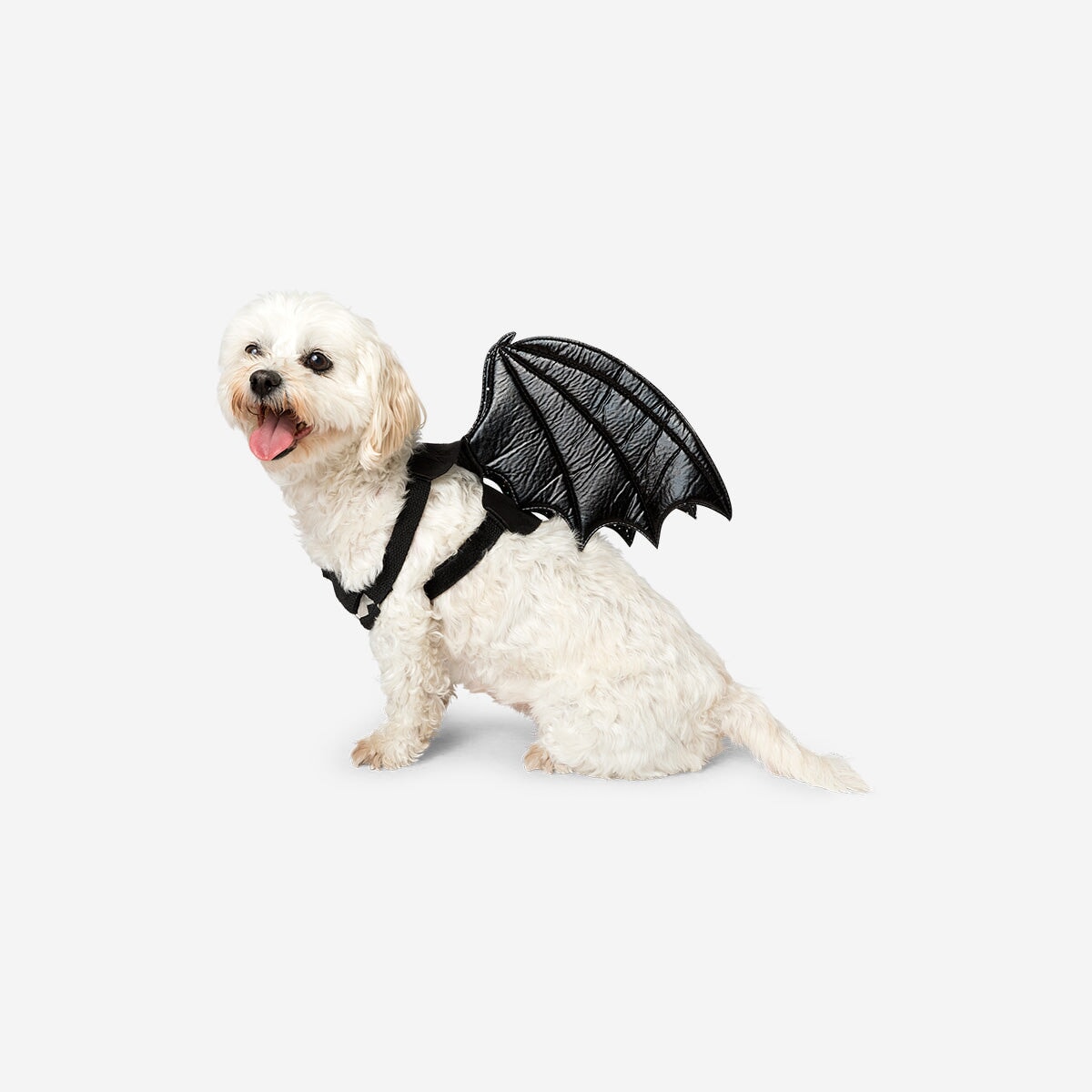 Pet costume - Bat wings gadget Flying Tiger Copenhagen 