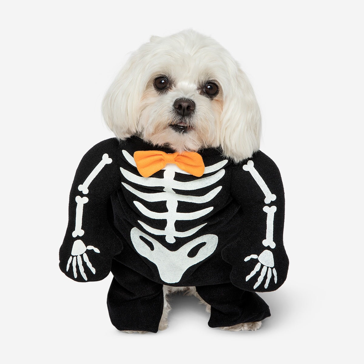 Halloween skeletten