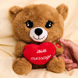 Plush toy - Teddy bear with heart and voice recorder