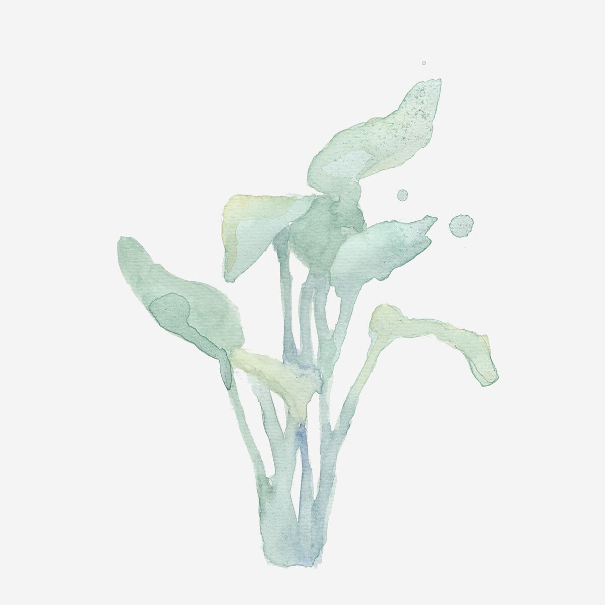 Botancial water colouring book hobby Flying Tiger Copenhagen 