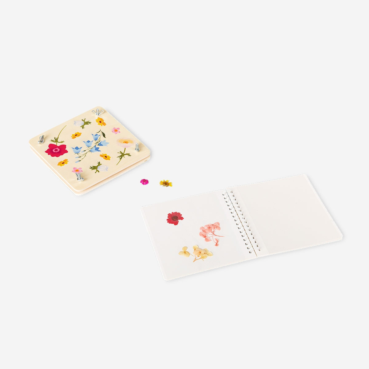 Flower press kit Hobby Flying Tiger Copenhagen 