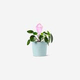 Pink cactus watering spike home Flying Tiger Copenhagen 