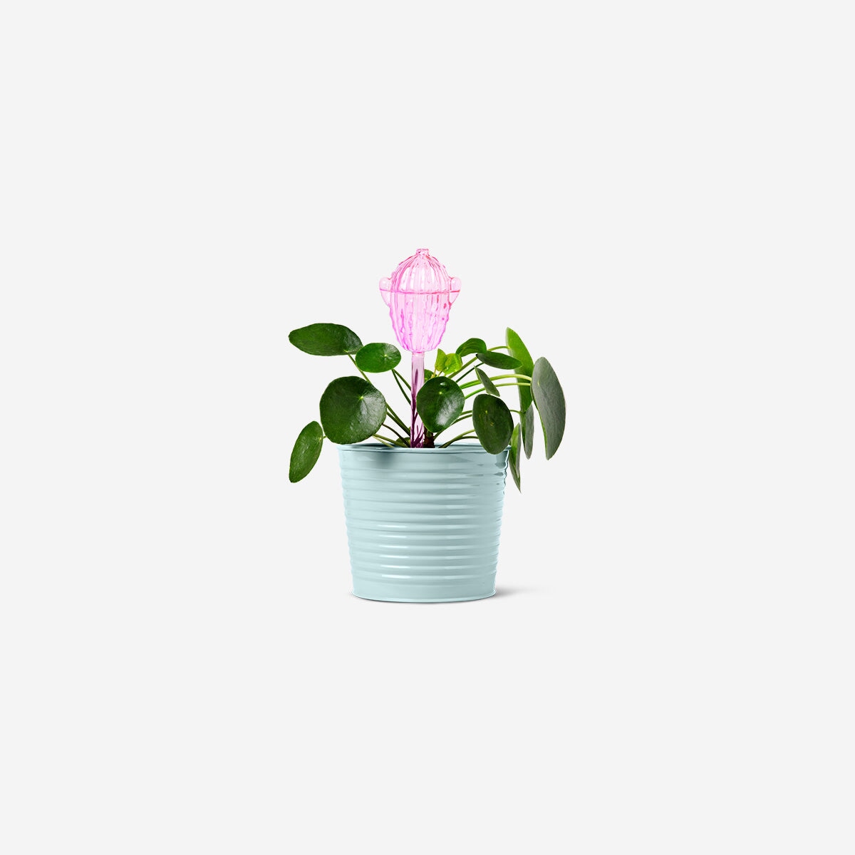 Pink cactus watering spike home Flying Tiger Copenhagen 