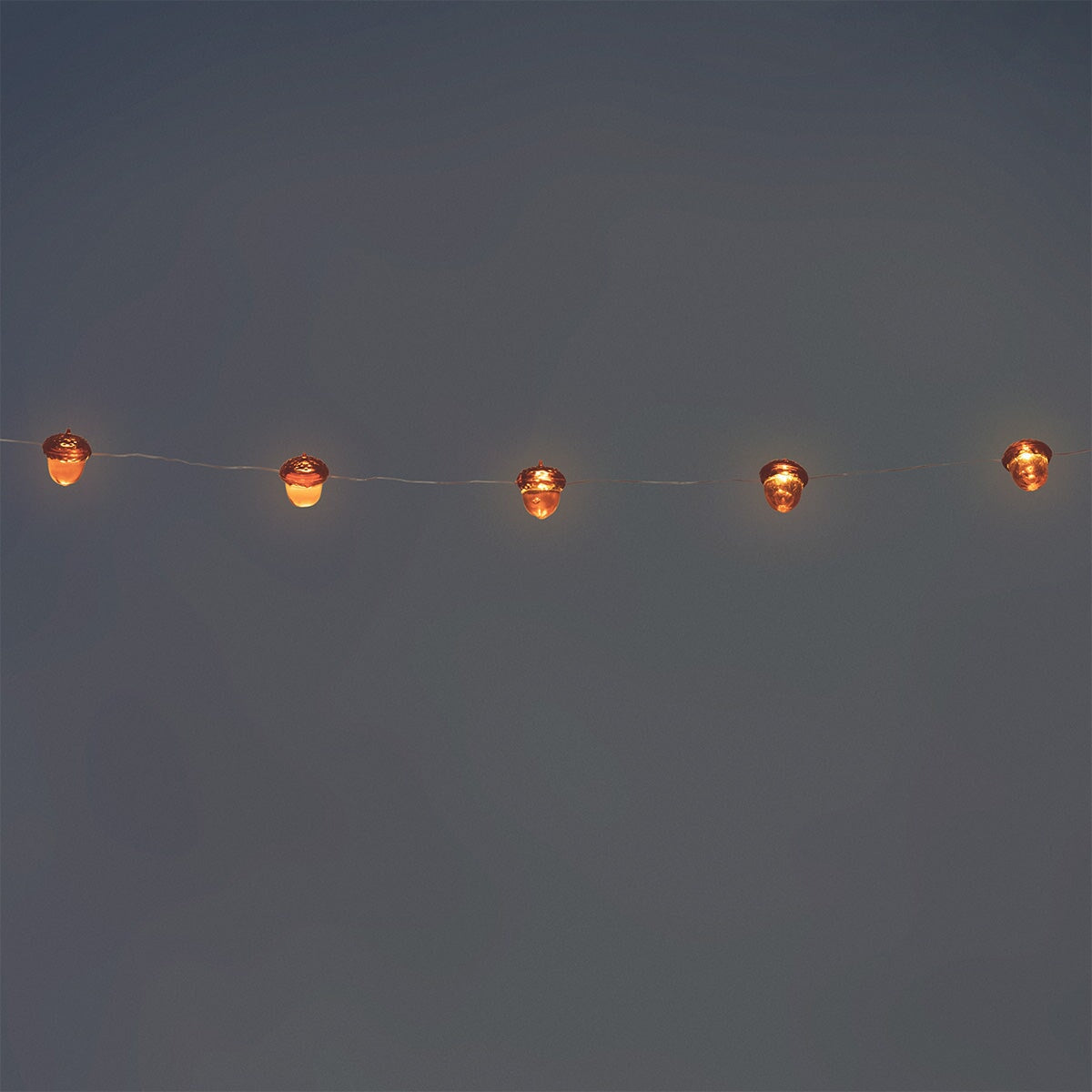 String lights - Acorns home Flying Tiger Copenhagen 