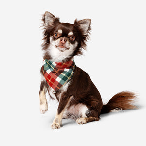 Pet bandana with a checkered print from Flying Tiger Copenhagen, featuring a leisure-style design for small dogs or cats.