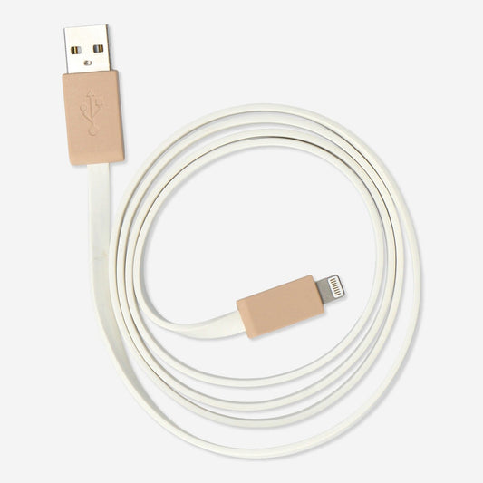 Cavo di ricarica USB. Chiave lightning