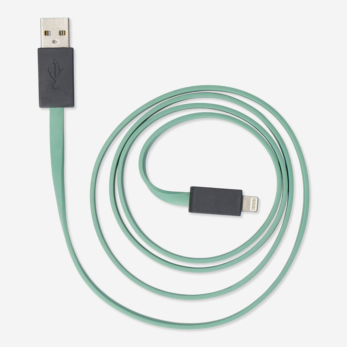 Modern USB Charging Cable – 100cm Lightning Connector | Tech Accessory ...