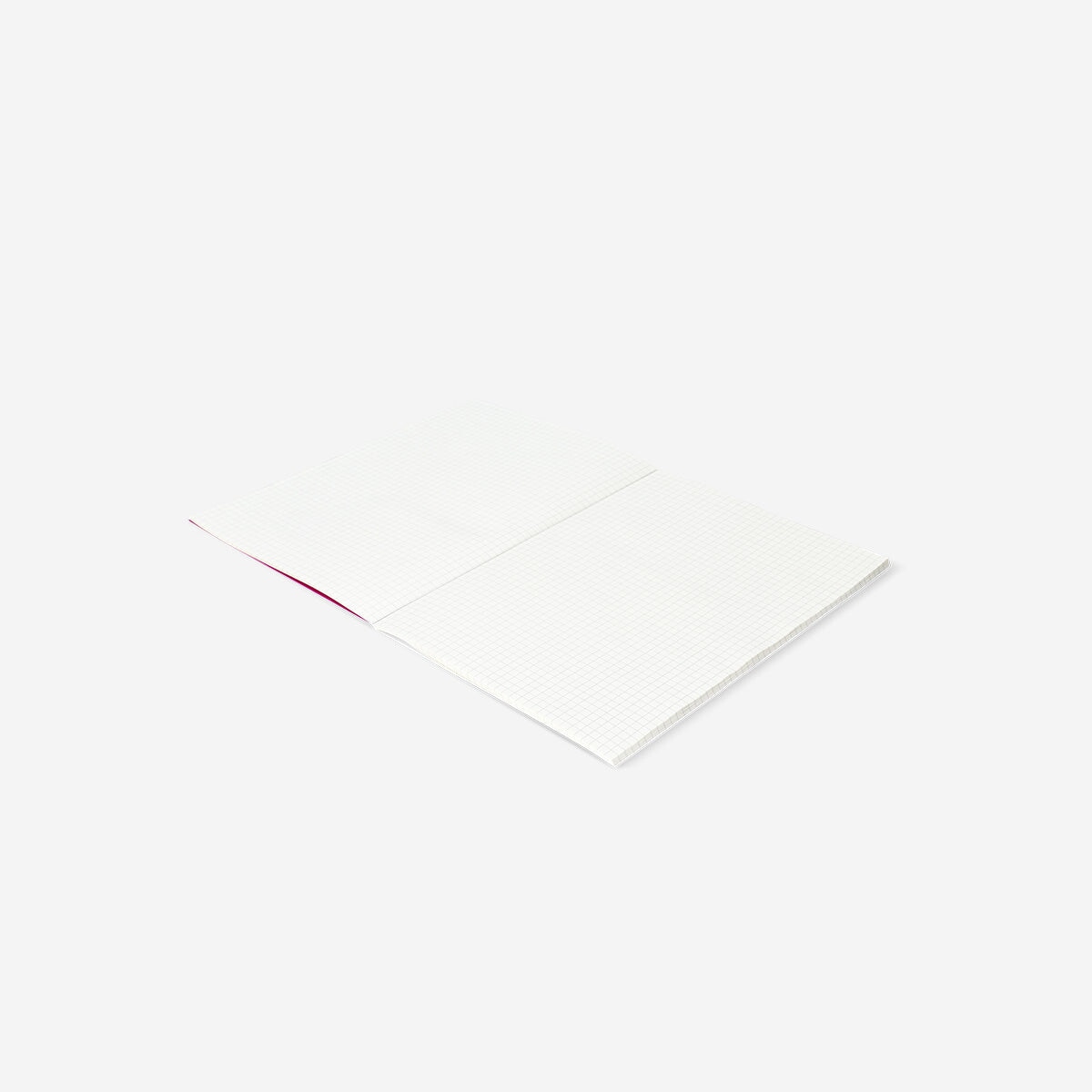 B5 grid exercise book with dice Office Flying Tiger Copenhagen 