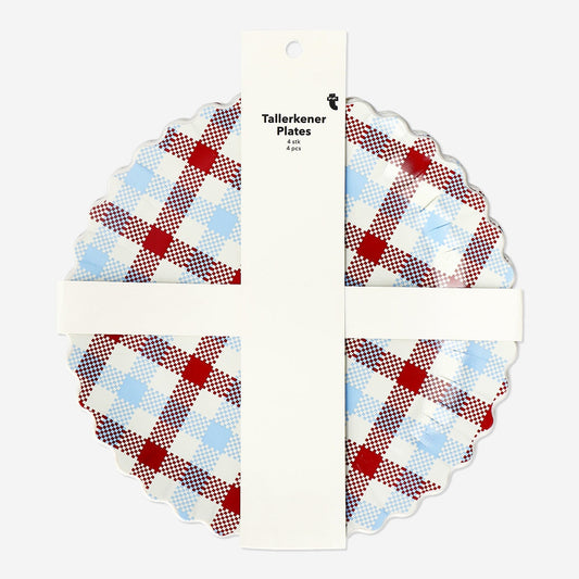 Rutiga picknicktallrikar - 4 st