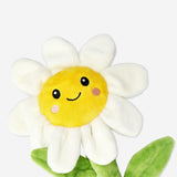 Peluche - Flor de margarita sonriente