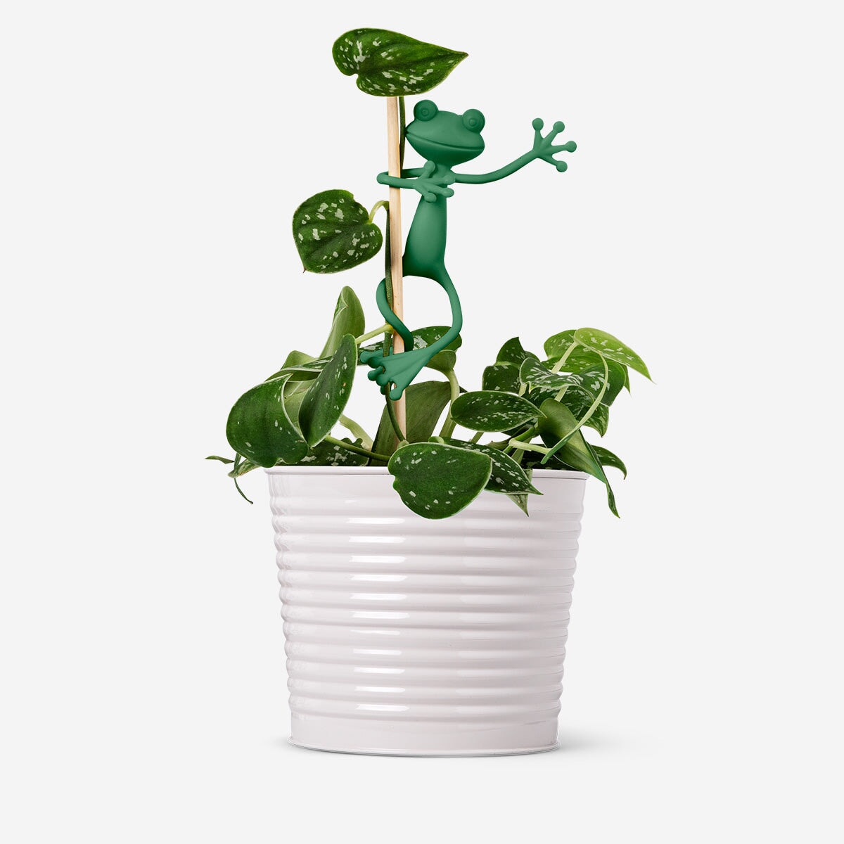 Frog shaped plant supports - 2 pcs Leisure Flying Tiger Copenhagen 