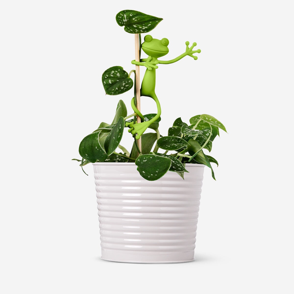 Frog shaped plant supports - 2 pcs Leisure Flying Tiger Copenhagen 