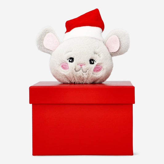 Geschenkdoos met pluche muis