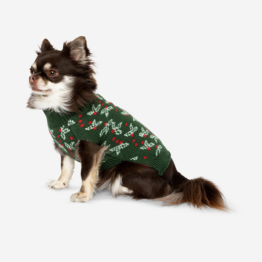 Pull vert de Noël pour un chien