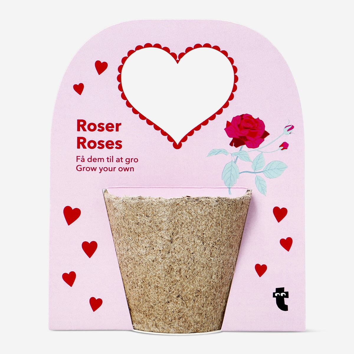 Grown your own rose kit Leisure Flying Tiger Copenhagen 