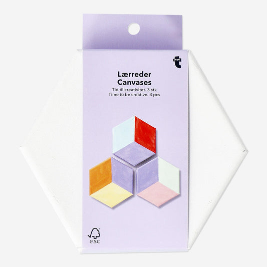 Hexagon-Shaped Canvases - 3 pcs