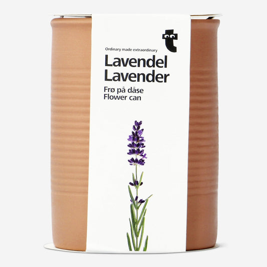 Lavender. Flower can