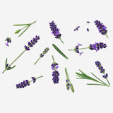 Lavender. Flower can Leisure Flying Tiger Copenhagen 