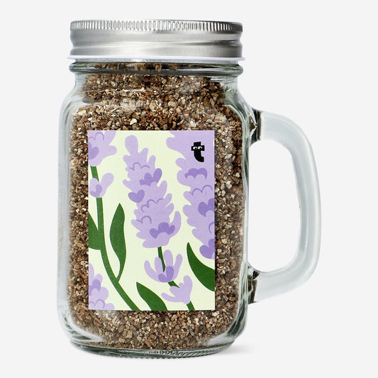 Lavender grow kit in a jar