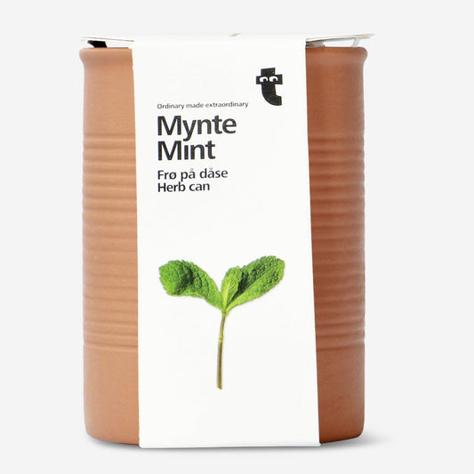 Mint. Herb can