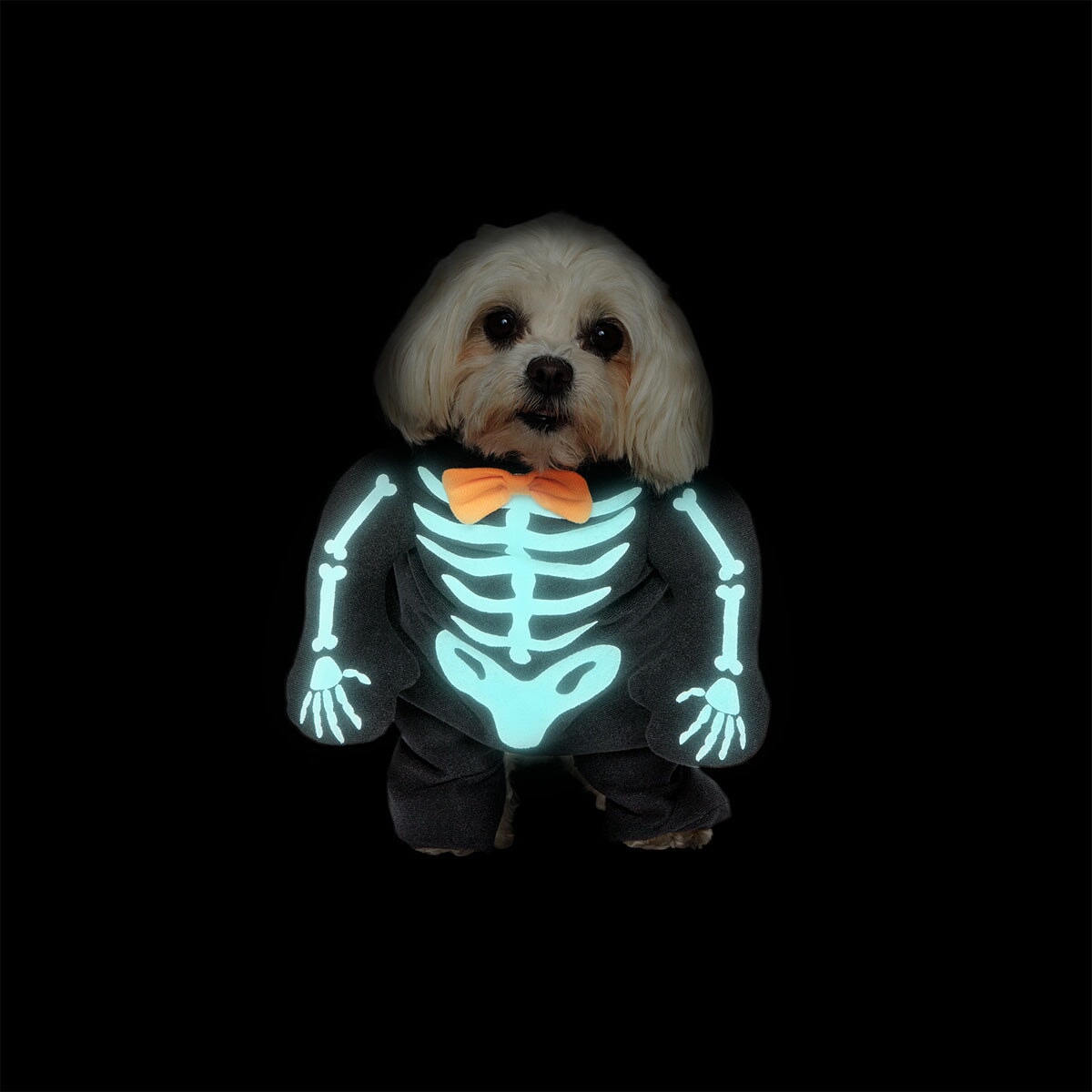 Pet Costume - Skeleton Gadget Flying Tiger Copenhagen 