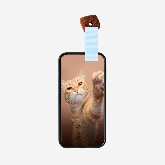 Phone Clip for Treats