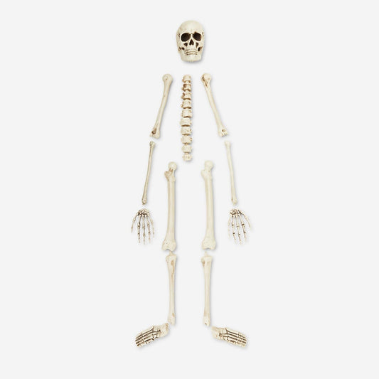 Skeletten