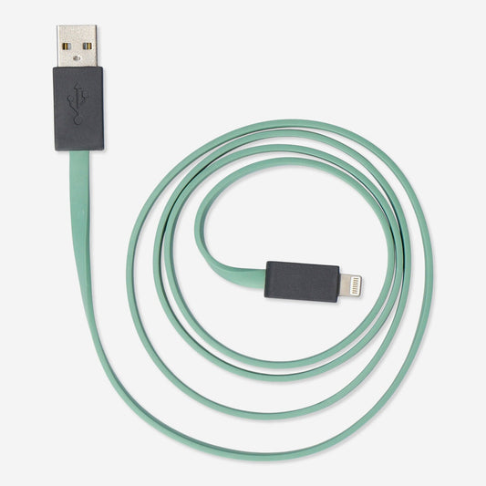 USB charging cable. Lightning stick