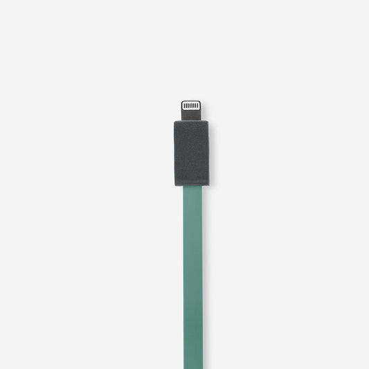 USB-laddningskabel. Lightning Stick