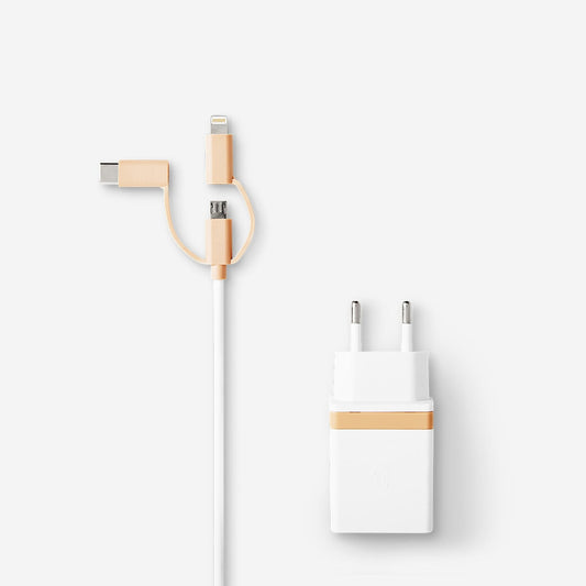 Wall charger. Lightning, USB-C and micro USB