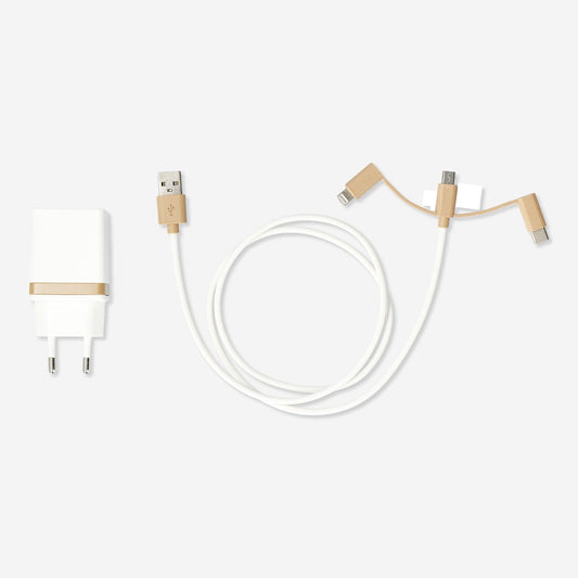 Wall charger. Lightning, USB-C and micro USB
