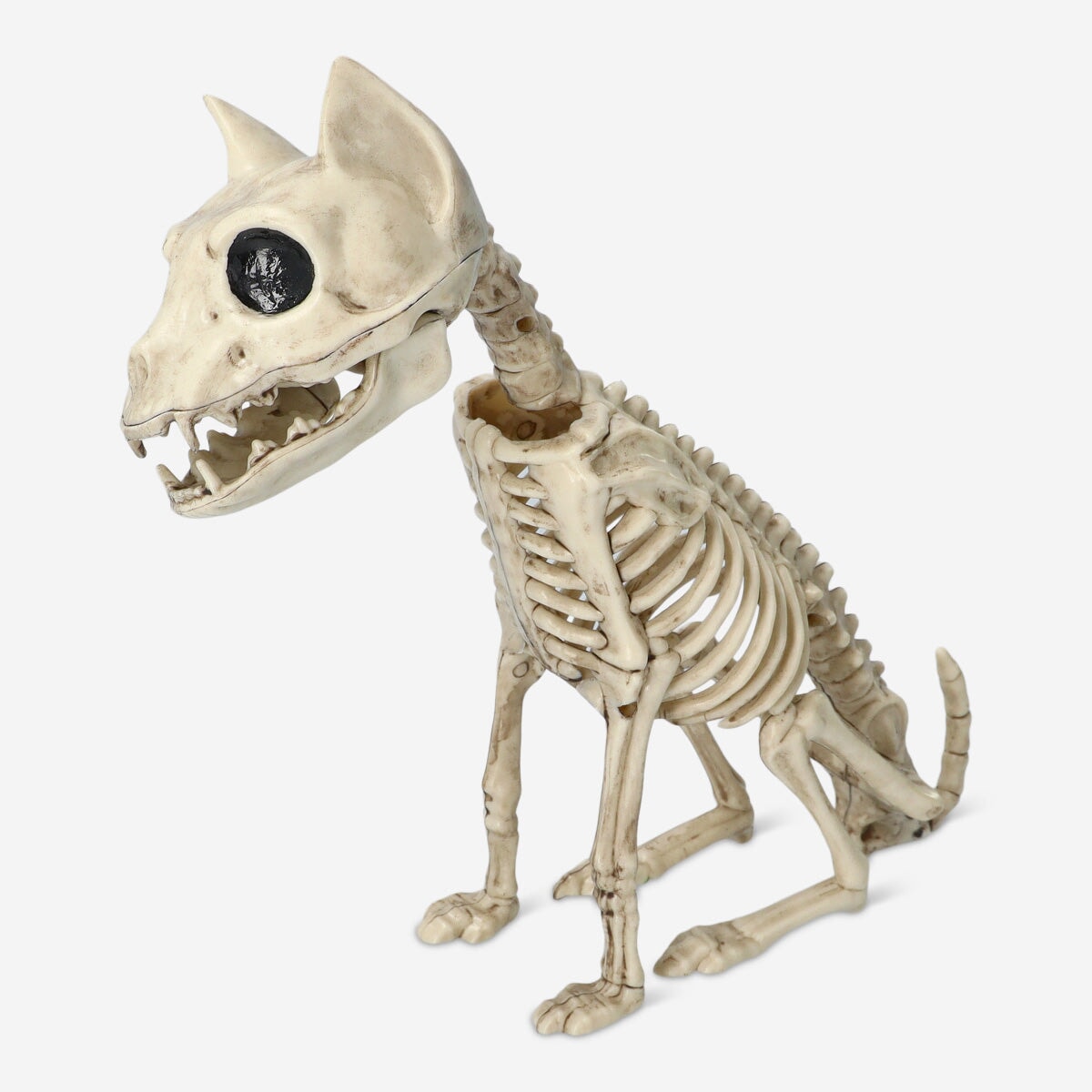 Animal skeleton Gadget Flying Tiger Copenhagen 