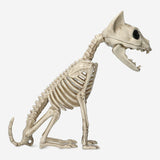 Animal skeleton Gadget Flying Tiger Copenhagen 