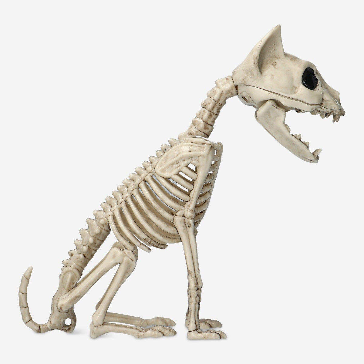 Animal skeleton Gadget Flying Tiger Copenhagen 