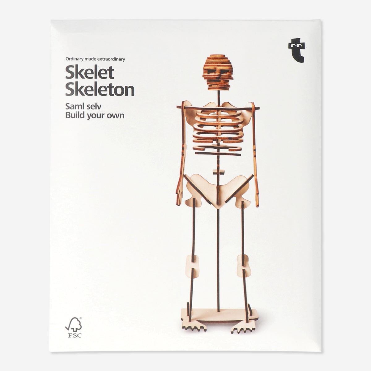 Build Your Own Skeleton Kit – Educational Fun for All Ages | Flying ...