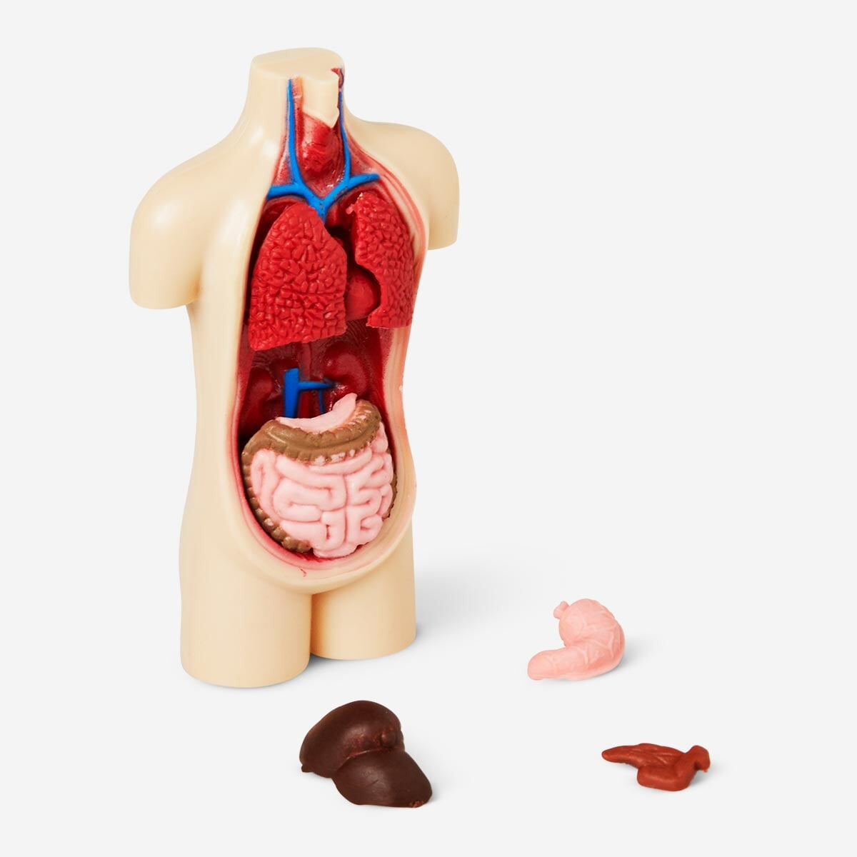 Bygg-din-egen-torso €4| Flying Tiger Copenhagen