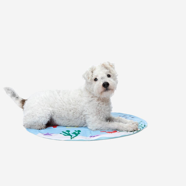 Pet cooling hot sale mat kmart