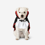 Costume. For pets Gadget Flying Tiger Copenhagen 