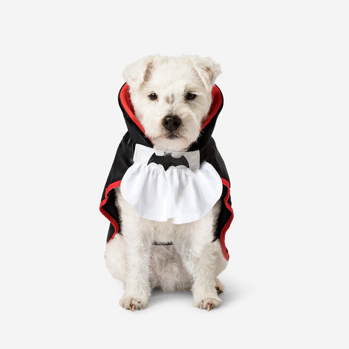 Costume. For pets Gadget Flying Tiger Copenhagen 