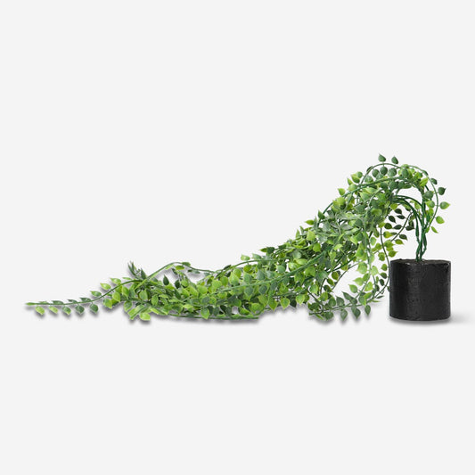 Decorative hanging plant