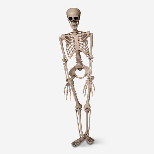 Decorative skeleton