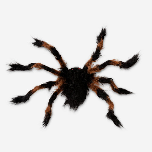 Dekorativ edderkop