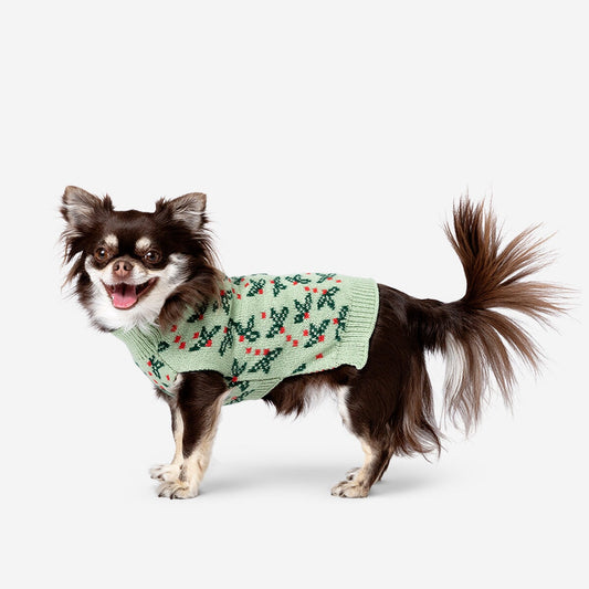 Kutya pulóver